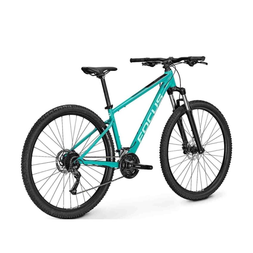 Bicicletta Mtb FOCUS Whistler 3.6 Bluegreen - Immagine 2