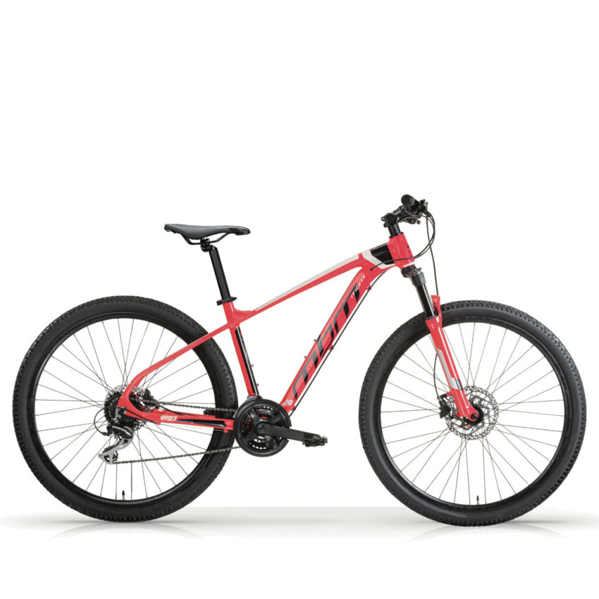 Bicicletta Mtb MBM Quarx Mtb 24V. - Immagine 1