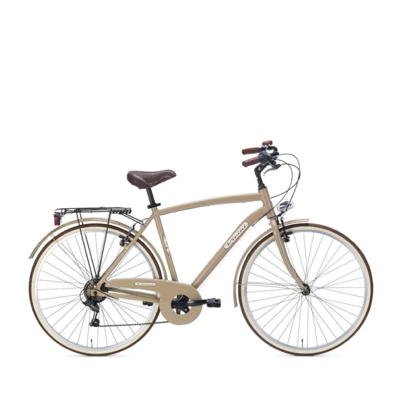 Bicicletta City VICINI Vintage Uomo 21V.