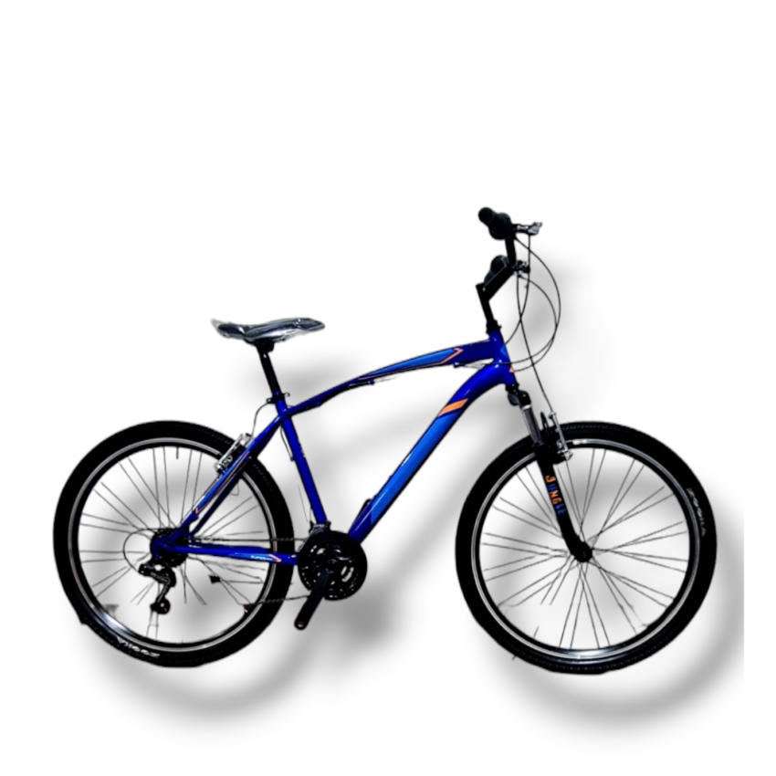 Bicicletta Bimbi DAYTONA 24' Metal Blu