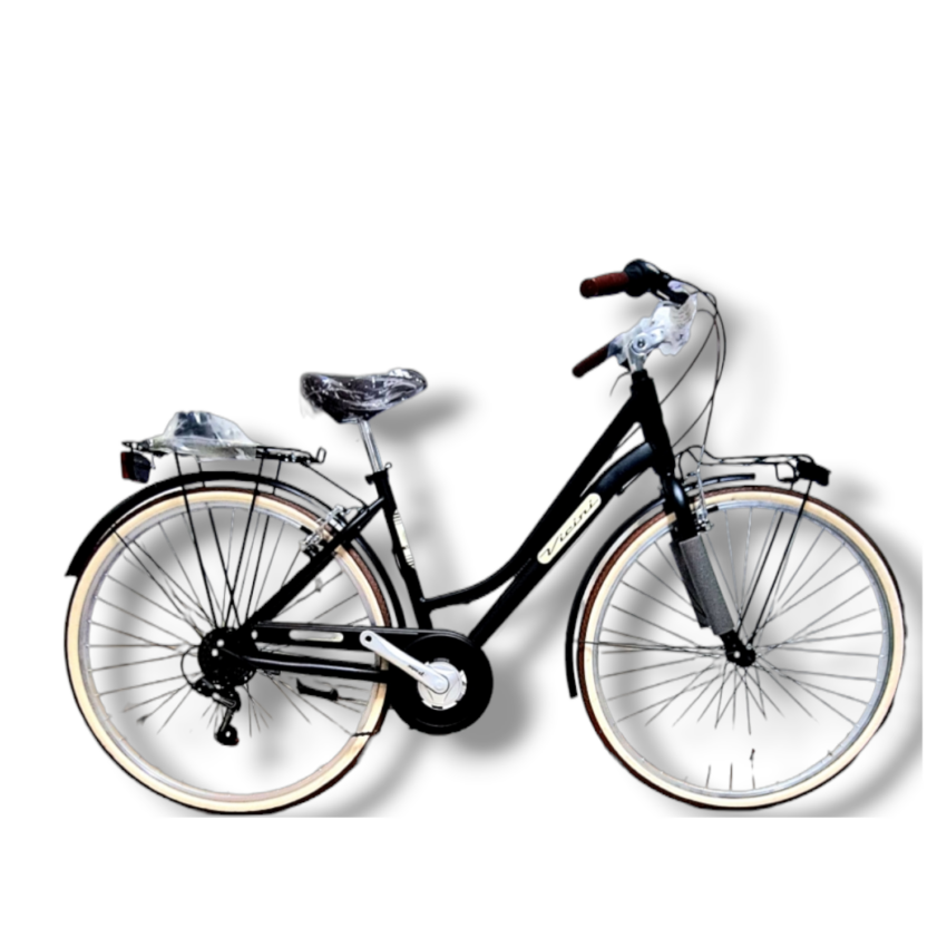 Bicicletta City VICINI Vintage Donna 21V. - Immagine 3