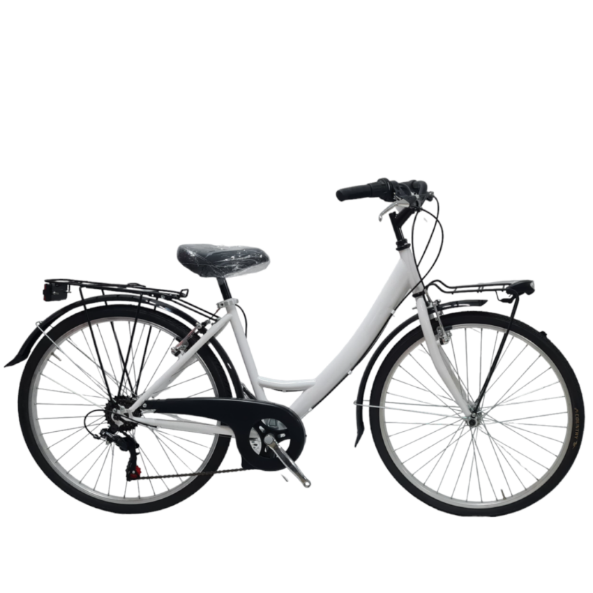 Bicicletta City DAYTONA City Bike 26' 6V Telaio Acciaio - Immagine 3