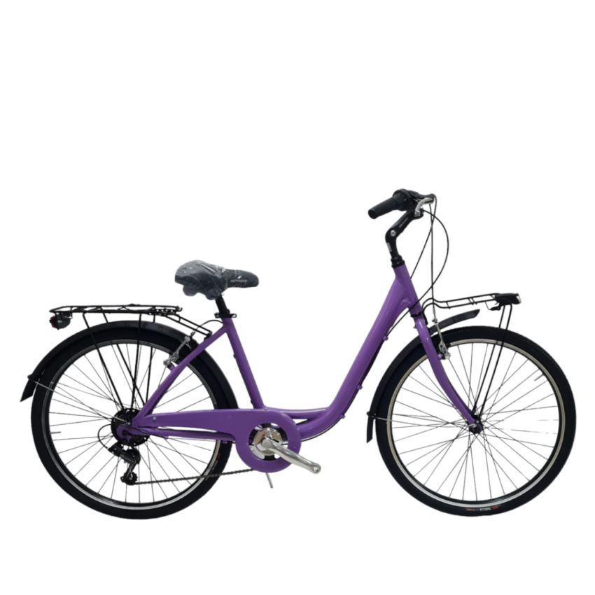 Bicicletta City DAYTONA City Bike 26' 6V Telaio Acciaio