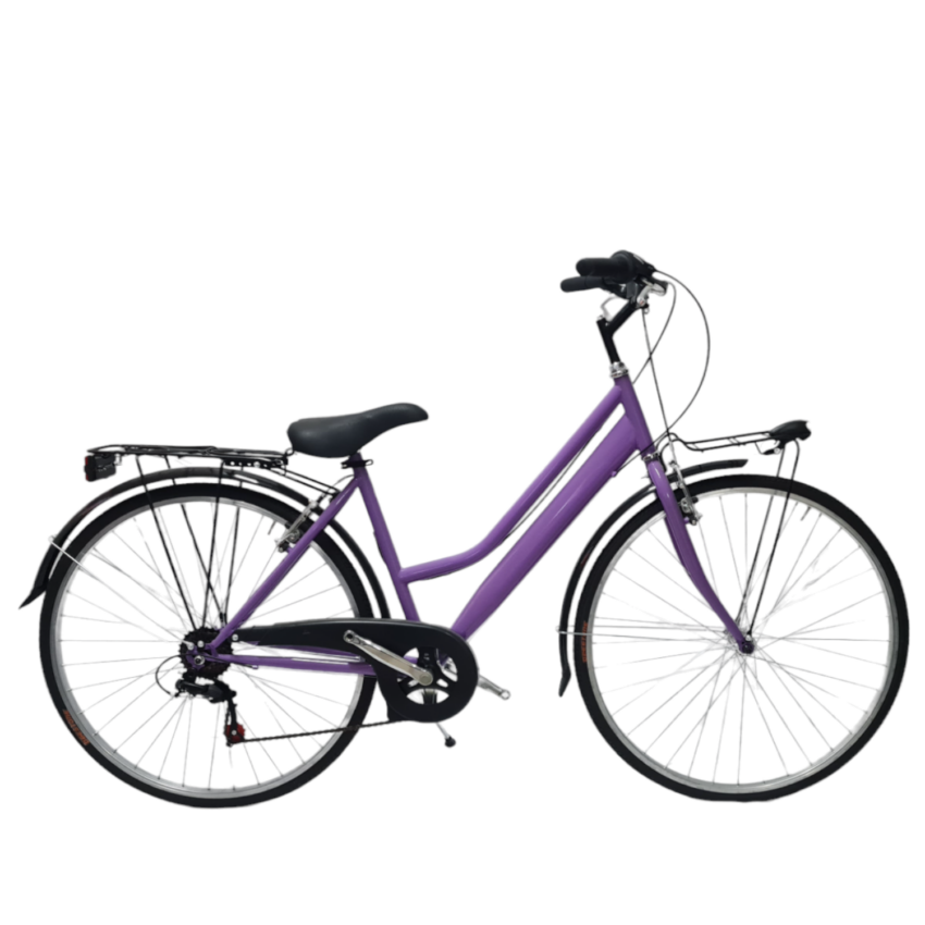 Bicicletta City DAYTONA City Bike 28' 6V Telaio Acciaio - Immagine 1