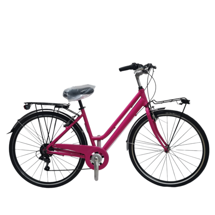 Bicicletta City DAYTONA City Bike 28' 6V Telaio Alluminio - Immagine 3