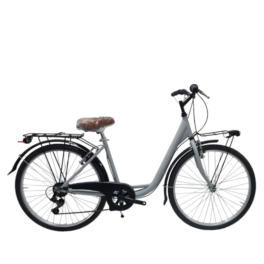 Bicicletta City DAYTONA City Bike 26' 6V Telaio Acciaio - Immagine 1