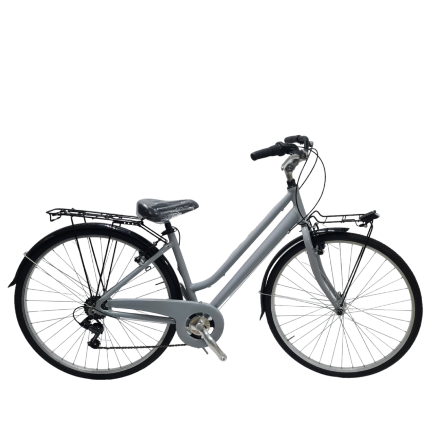 Bicicletta City DAYTONA City Bike 28' 6V Telaio Alluminio - Immagine 5