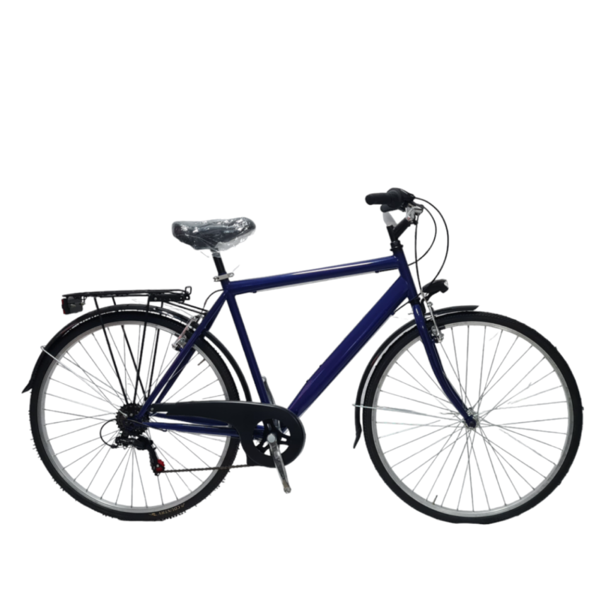 Bicicletta City DAYTONA City Bike Uomo 28' 6V Telaio Acciaio